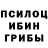 Галлюциногенные грибы Cubensis Smervil 2