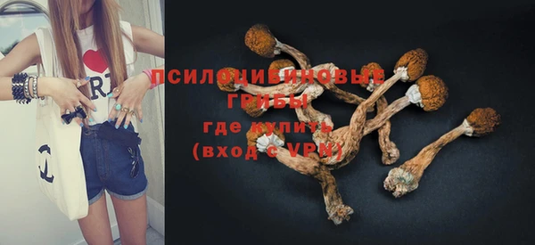 ешки Надым