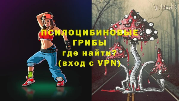 ECSTASY Навашино