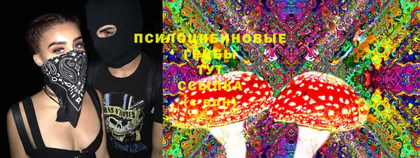 ешки Надым