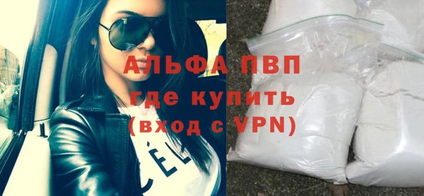 ECSTASY Тайга