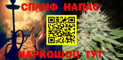 PSILOCYBIN Азнакаево