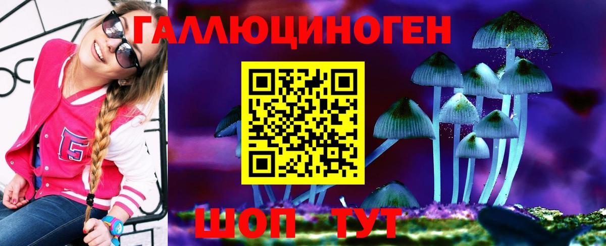 Апатиты  Галлюциногенные грибы прущие грибы  Вход с VPN  Галлюциногенные грибы Cubensis 
